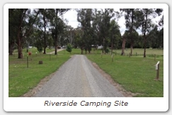 Riverside Camping Site