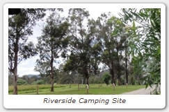 Riverside Camping Site