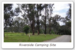 Riverside Camping Site